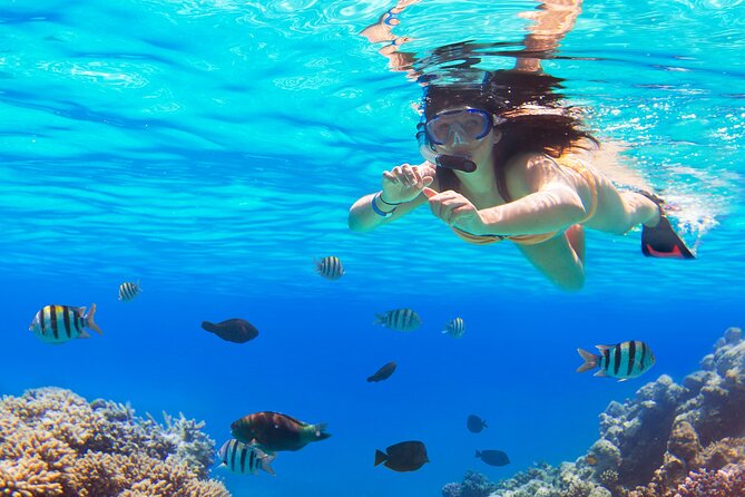 Saona by Speedboat: Private Beach & Snorkeling  Small Group - What Makes This Tour Stand Out