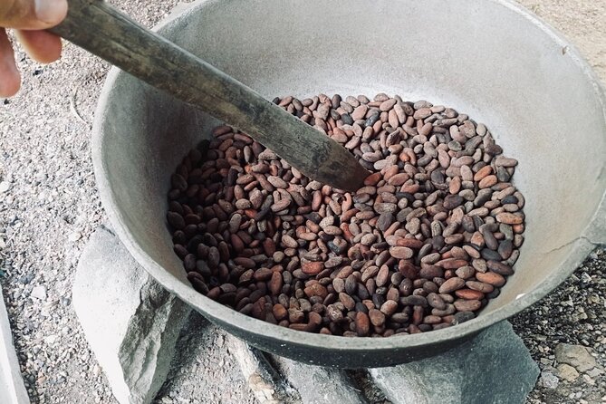 Nature and Adventure Safari Immersion in Dominican Life - Final Thoughts