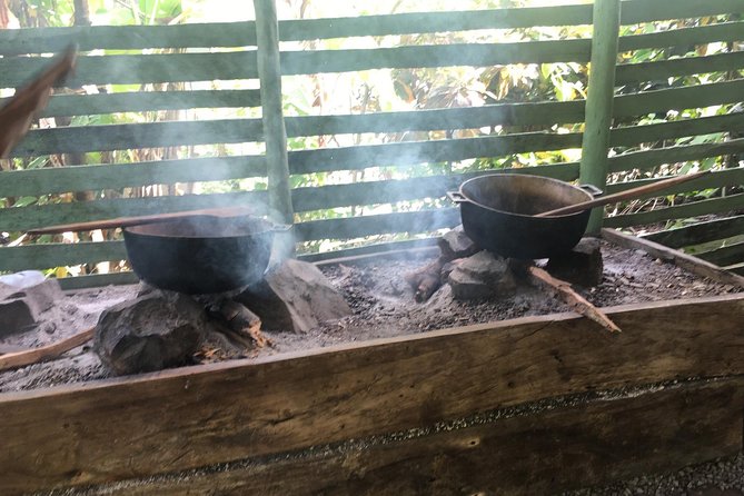 Monkeyland & Plantation Safari Full Day from Juan Dolio - Authenticity and Review Insights