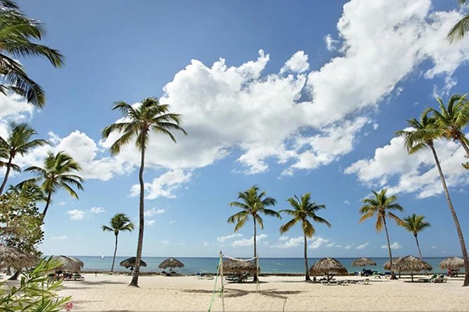 Shore Excursion: Viva Wyndham Resort For The Day With Unlimited Food & Drinks - Exploring the Viva Wyndham Dominicus Beach Experience