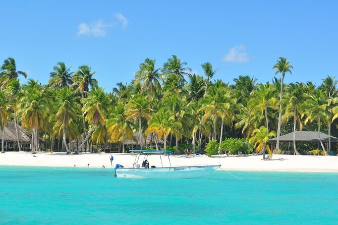 Full Day Tour to Saona Island from Samana - Key Points