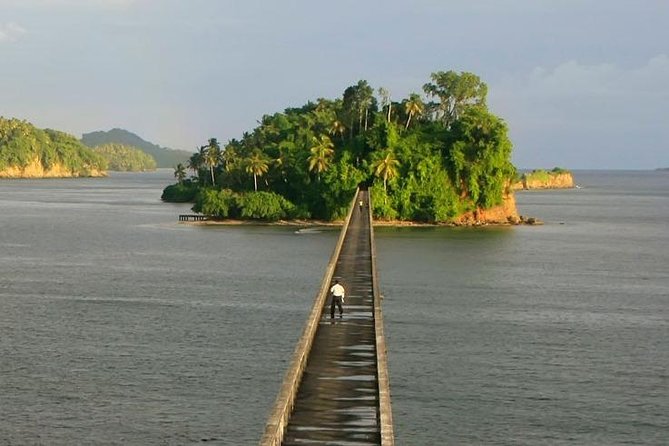 Punta Cana to Samana: El Limon Falls and Bacardi Island - Whale Watching: A Seasonal Surprise