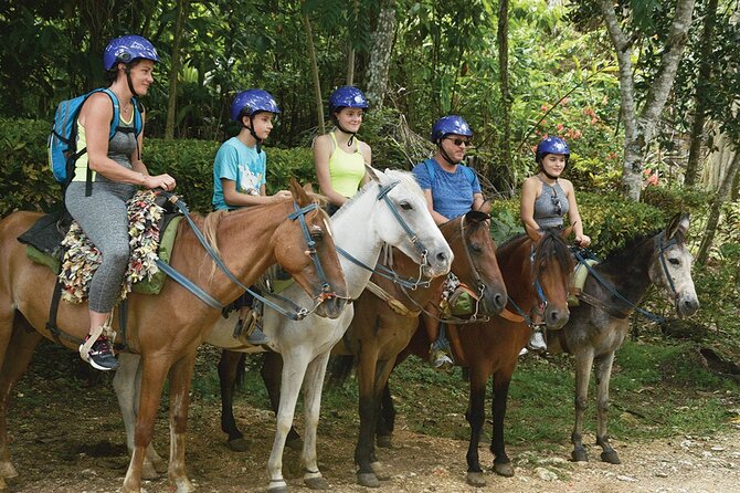 Full Day Tour in Samana and visit to Cascada el Limón - Transportation, Group Size, and Practicalities