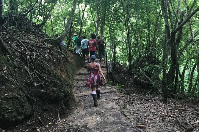 Full Day Tour in Samana and visit to Cascada el Limón - Final Thoughts: Is This Tour Right for You?