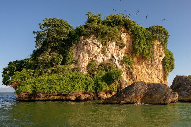 Excursion to Los Haitises and Redonda Mountain - Experience the Natural and Cultural Wonders of Samaná: Los Haitises and Redonda Mountain