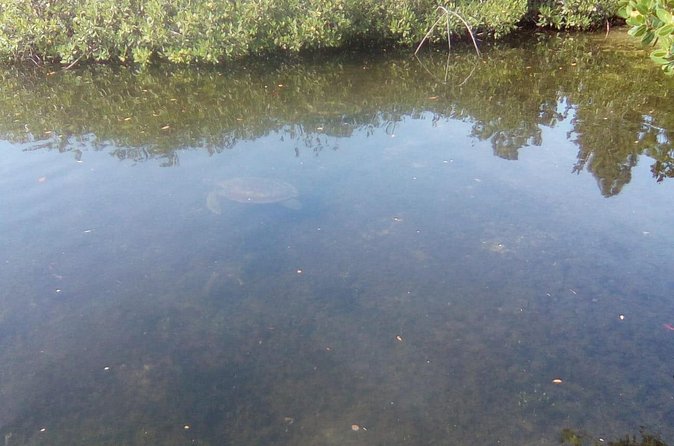 Mamma Gal East End Native Experience - FAQ