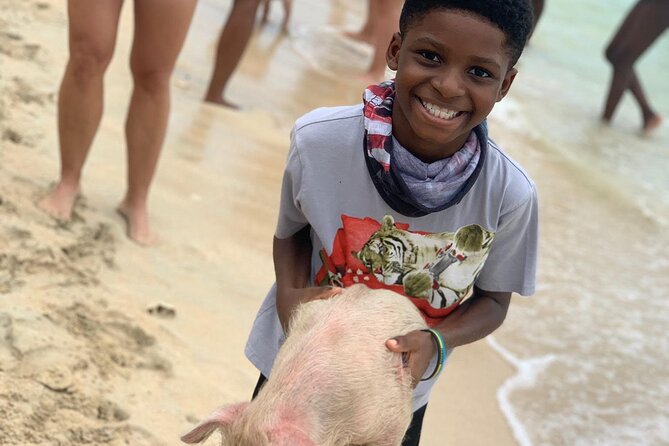 Private GroupTour Pigs/Turtles/Snorkeling/Lunch/Pickup/Dropoff - The Itinerary Breakdown: What to Expect