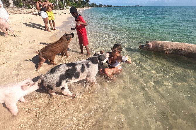 Private GroupTour Pigs/Turtles/Snorkeling/Lunch/Pickup/Dropoff - What Makes This Tour Stand Out