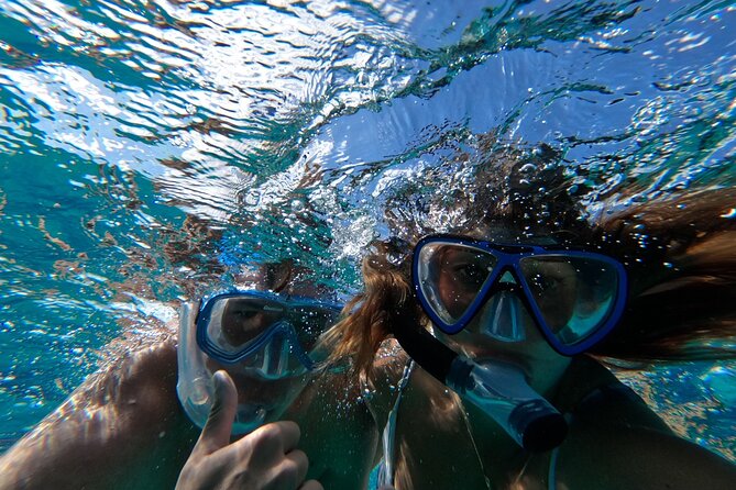 Private GroupTour Pigs/Turtles/Snorkeling/Lunch/Pickup/Dropoff - Final Thoughts