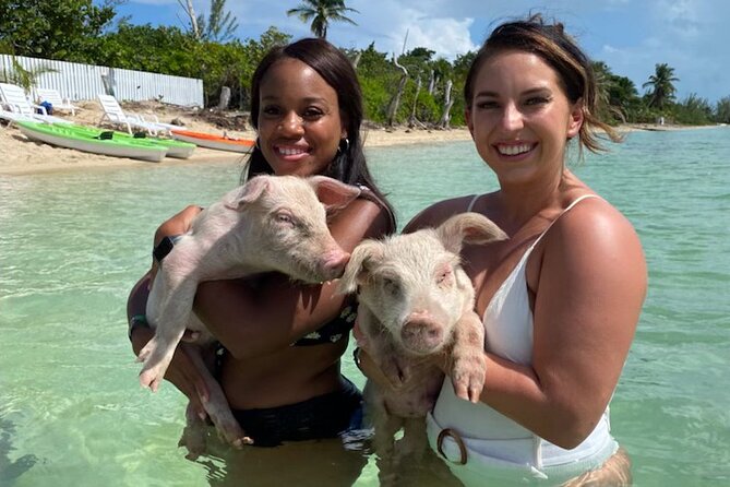 Swim with the Pigs and Explore Caves in Nassau - The Sum Up