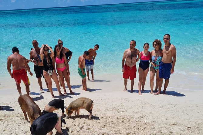 Athol Island Swimming Pigs Half-Day Boat Tour with Lunch - The Practical Side: Transportation, Timing, and Group Size