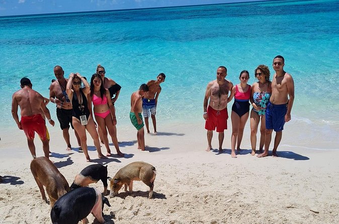 Athol Island Swimming Pigs Half-Day Boat Tour with Lunch - Who Will Love This Tour?