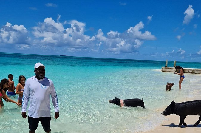 Athol Island Swimming Pigs Half-Day Boat Tour with Lunch - FAQ