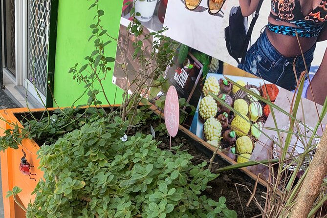 Tour of Nassau - Practical Details