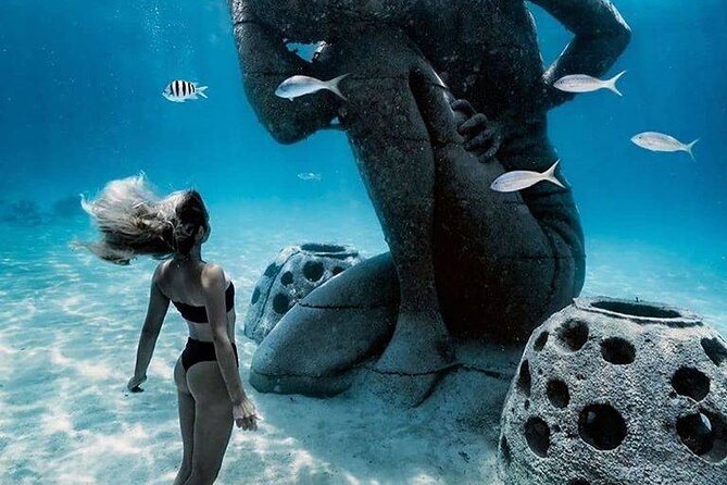 Bahamian Experience Private Beach Getaway - Who Is This Tour Best Suited For?