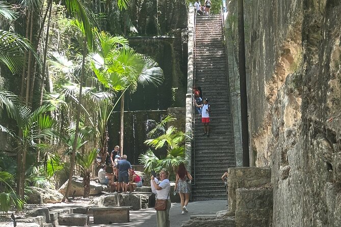 Bahamas Adventure: Number 1 Scooter and Side by Side rentals - Who Should Consider This Tour?