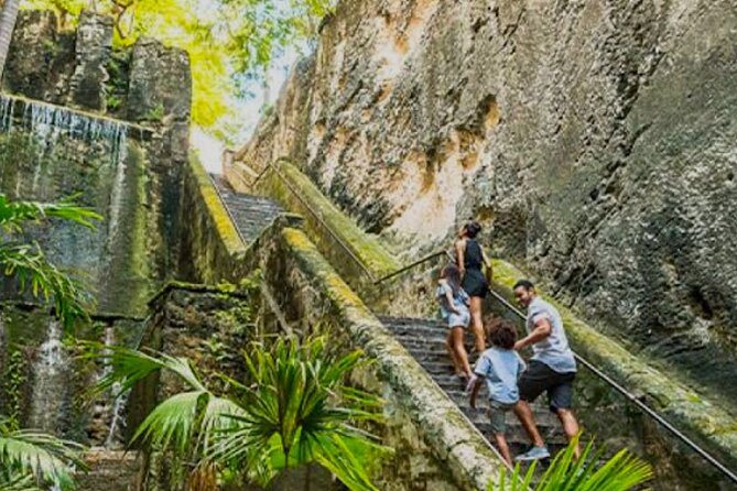 Bahamas Private Minivan Transport - Why This Service Works Well for Different Travelers