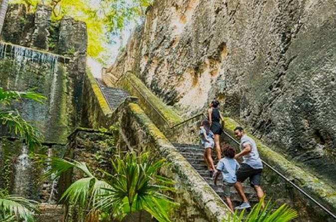 Bahamas Private Minivan Transport - Who Should Consider This Service?