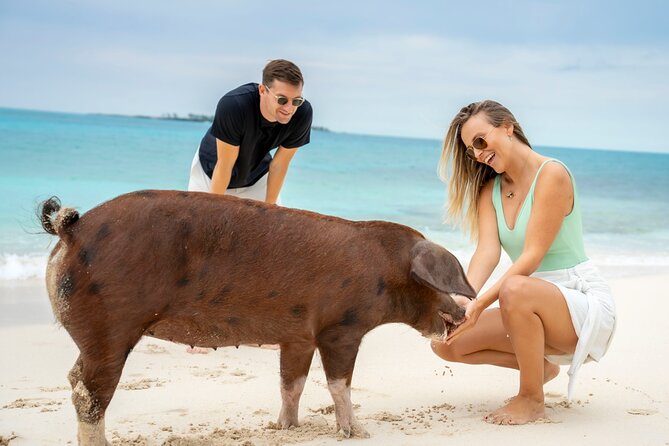 Sandy Toes The Original Rose Island and Swimming Pigs Tour - Final Thoughts