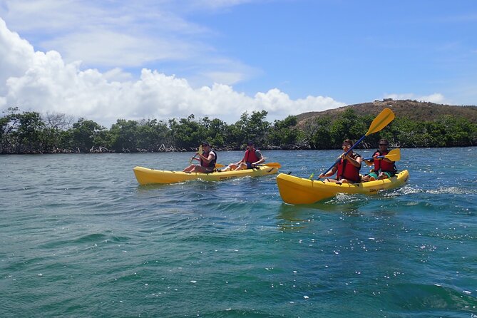 St Thomas Shore Excursion: Mangrove Lagoon Kayak and Snorkel Tour - Final Thoughts