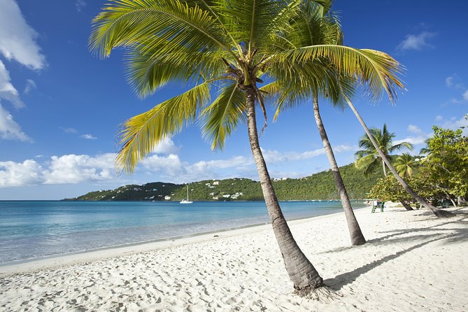 St Thomas Shore Excursion: Shopping, Sightseeing and Beach Tour - Key Points