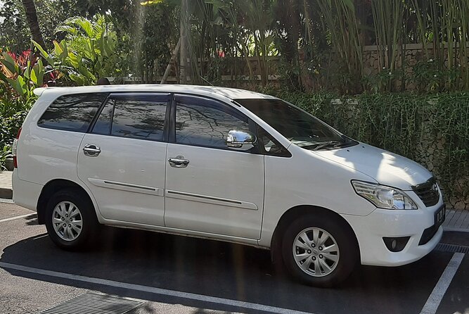 Candidasa Private Car with English Speaking Driver - Tegalalang Rice Terrace: Iconic Bali Landscape