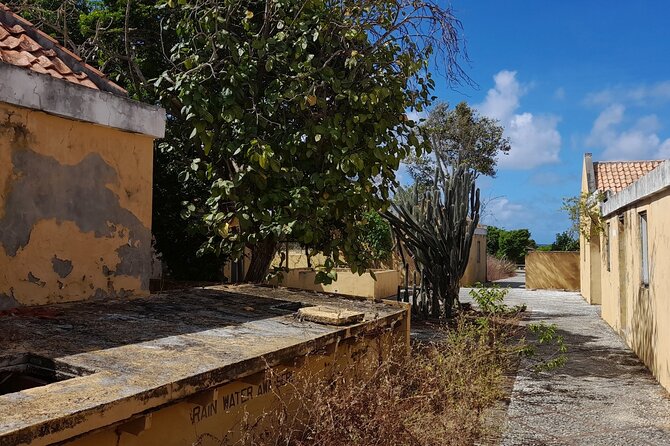 e-Scavenger hunt by car or scooter: 'Explore the Rincon Valley' - What Travelers Can Expect