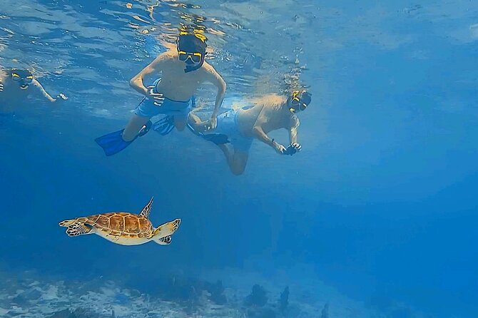 Snorkel with Turtles & see the Flamingos - Additional Stops: Sorobon Beach and More