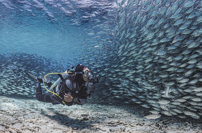 6 days unlimited diving - The Sum Up: Is This the Right Choice?