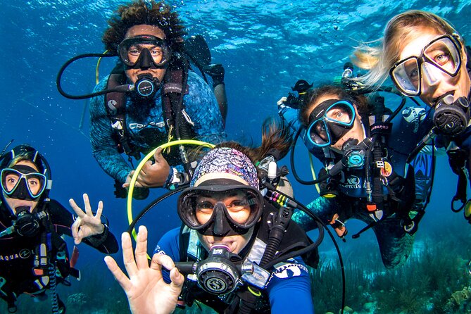 6 days unlimited diving - Exploring Bonaire’s Underwater World: What Makes This Tour Special?