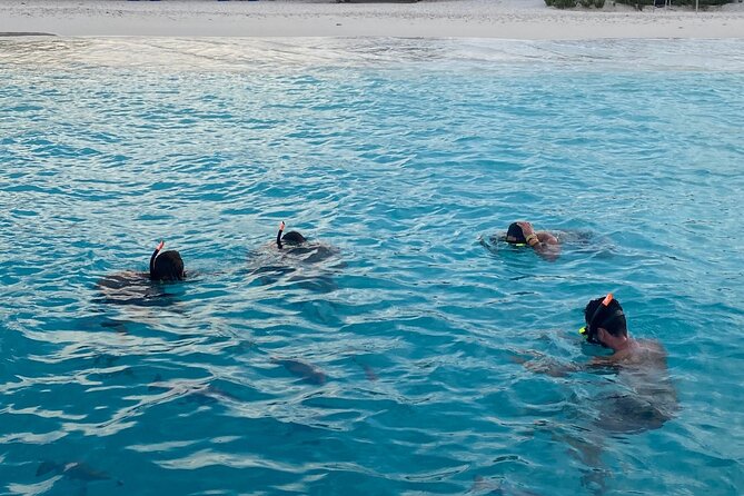 Luxury and Private Snorkel with Beach and Sunset View - Discovering Bonaire’s Hidden Gems with a Private Touch