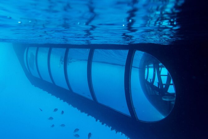 Aquaspace Morning Sail and Snorkel Tour on Bonaire with Lunch - Final Thoughts on the Aquaspace Morning Sail and Snorkel Tour