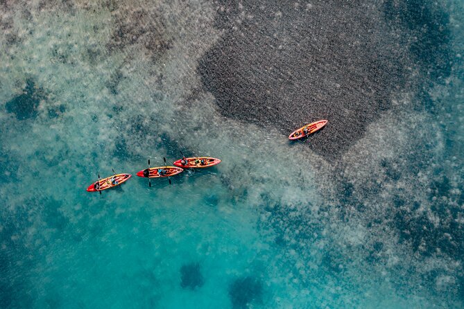 2 Hour Mangrove Kayak and Snorkel Tour - Authenticity and Education: What Sets This Tour Apart