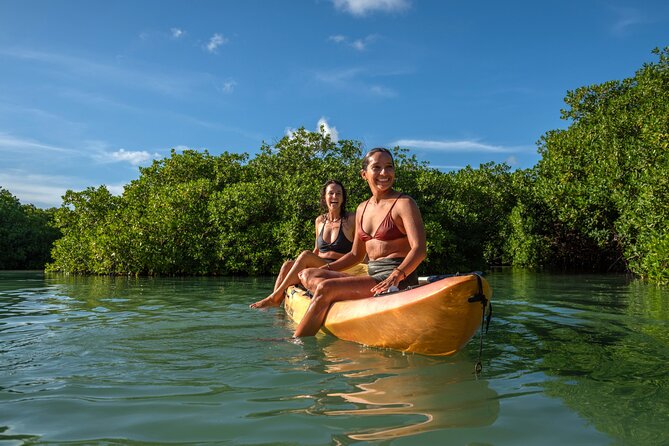 2 Hour Mangrove Kayak and Snorkel Tour - Why This Tour Is Worth Your Time in Bonaire