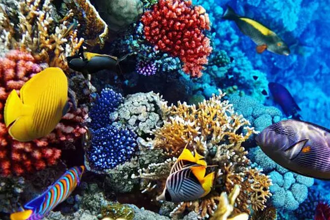 Private Luxury Boat Tour in Bonaire Customize Your Escape - Detailed Breakdown of the Experience