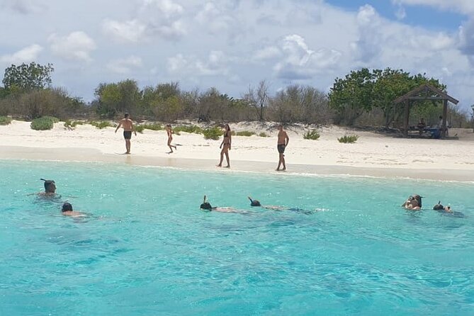Snorkel Experience in Bonaire - The Pros and Cons: Balancing the Experience