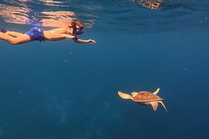 Deluxe Half Day Private Charter Adventure in Bonaire - Final Thoughts