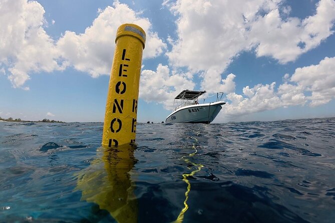 Private Sunset Cruise in Bonaire with Snorkeling - Frequently Asked Questions