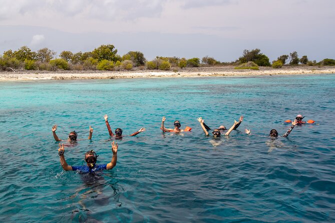 Klein Bonaire Marine Park Snorkeling Excursion - What to Expect: The Itinerary
