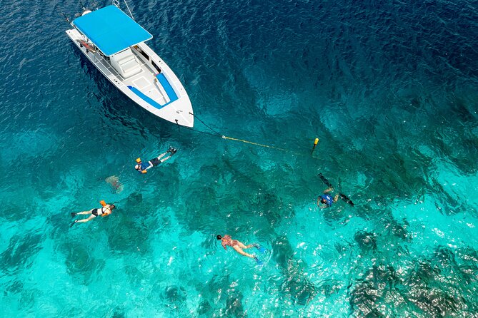 Klein Bonaire Marine Park Snorkeling Excursion - Price and Value