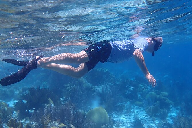 Klein Bonaire Marine Park Snorkeling Excursion - Equipment and Comforts