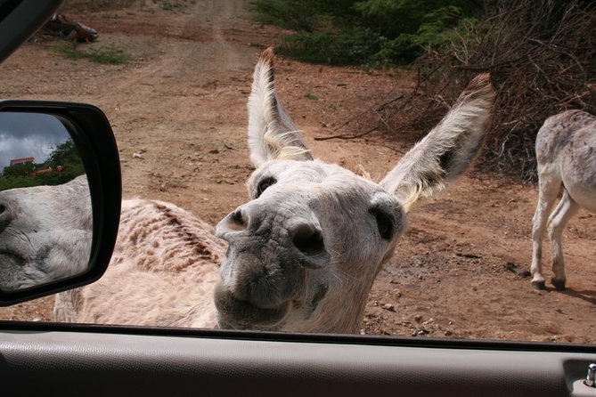 North Tour with Local Guide - The Sum Up