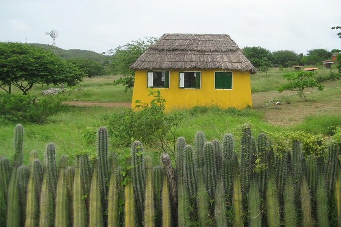 Small-Group Guided North & South Tour of Bonaire with Pick Up - FAQ