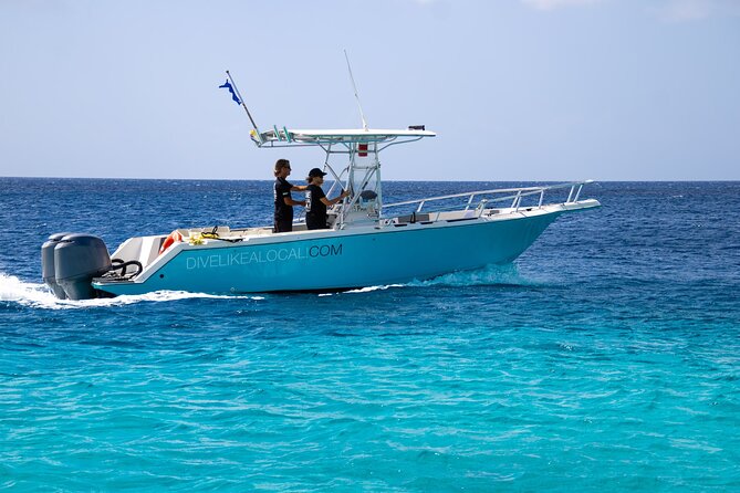 Private Scuba Diving Charter in Bonaire Marine Park - A Closer Look at the Bonaire Private Scuba Diving Charter
