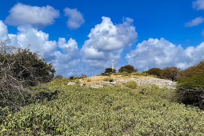 VIP Private North Island Tour - Why This Tour Offers Value