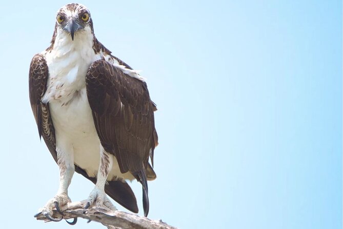 VIP Private North Island Tour - Gotomeer: Flamingos and Salt Pans