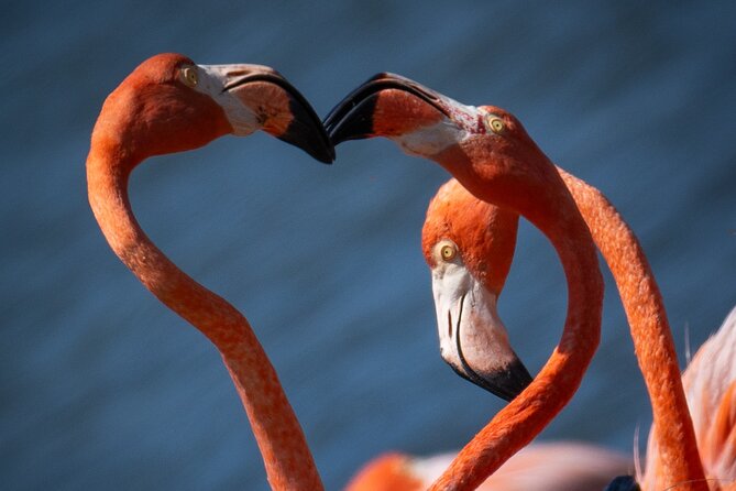 VIP Private Highlight Tour  North & South - Who Will Love This Tour