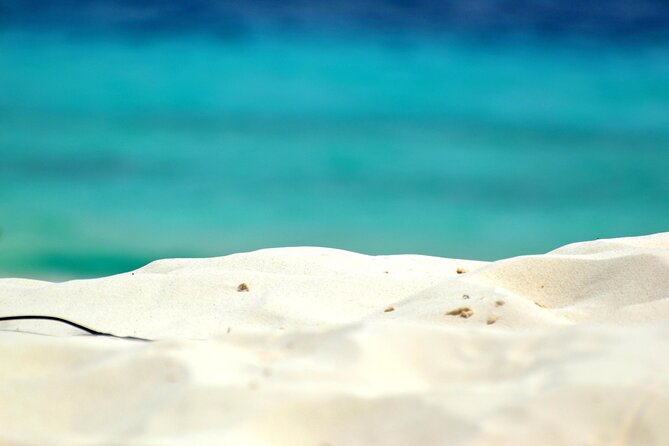 2 Hours Private Chauffeur Driven Car Minibus for 1 to 12 persons - Authentic Insights from Reviewers