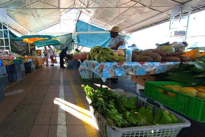 Historical and Panoramic Tour along Caribbean Coast and in Tropical Forest - FAQs