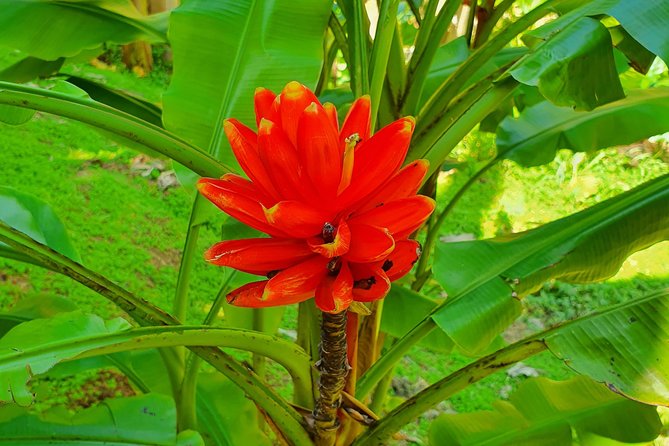 V.I.P Green escape 2-Zoo de Martinique - The Itinerary in Detail